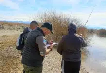 Intensifican controles contra la pesca furtiva en Los Antiguos Intensifican controles contra la pesca furtiva en Los Antiguos