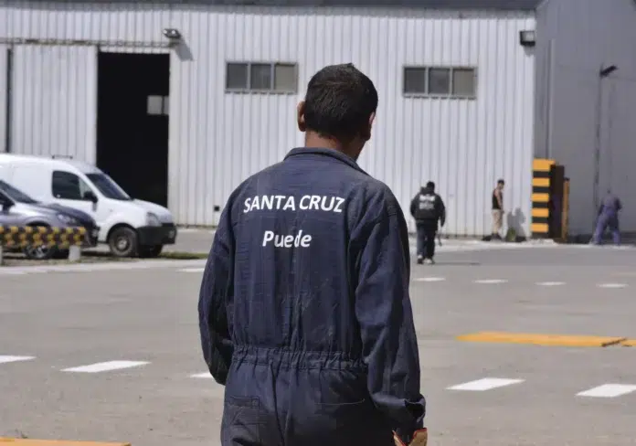 Lapidaria auditoría del Tribunal de Cuentas a Santa Cruz Puede SAU Lapidaria auditoría del Tribunal de Cuentas a Santa Cruz Puede SAU
