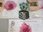 División de Investigaciones interceptó estupefacientes en El Calafate División de Investigaciones interceptó estupefacientes en El Calafate