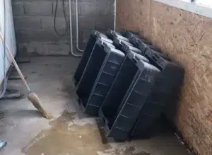 Policía del Chubut desarticuló un frigorífico clandestino en Esquel Policía del Chubut desarticuló un frigorífico clandestino en Esquel