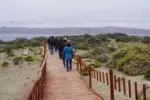 Chubut impulsa la economía circular en Península Valdés Chubut impulsa la economía circular en Península Valdés
