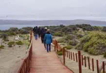 Chubut impulsa la economía circular en Península Valdés Chubut impulsa la economía circular en Península Valdés