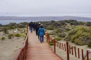 Chubut impulsa la economía circular en Península Valdés Chubut impulsa la economía circular en Península Valdés